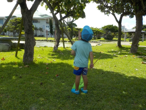 11日・朝海散歩!