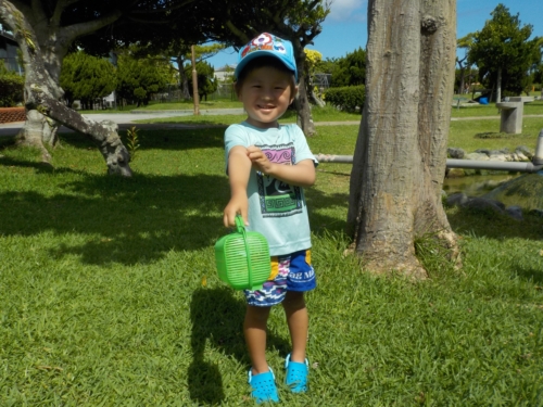 11日・朝海散歩!