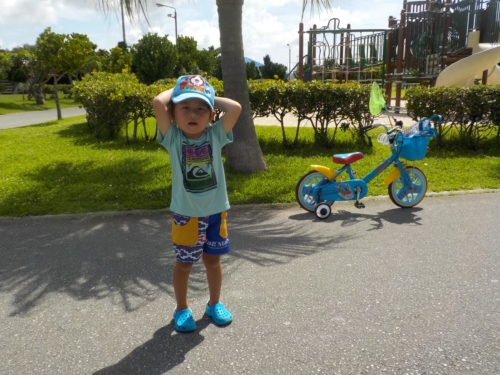 11日・朝海散歩!