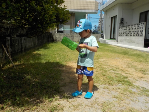 11日・朝海散歩!