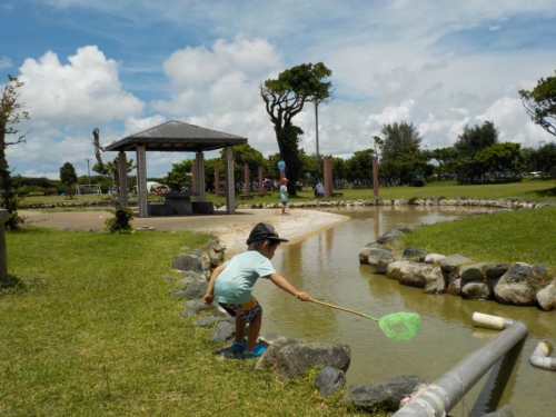 16日・ウォーターバブルフェスinトロピカルビーチ!