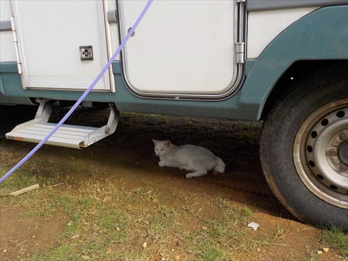 15日・海水浴からのRIZIN!