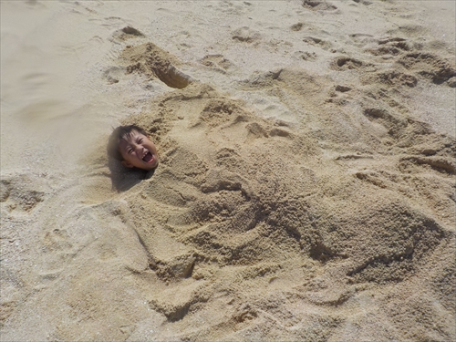 15日・海水浴からのRIZIN!