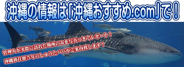 11日・NEWタブレットげっとん!