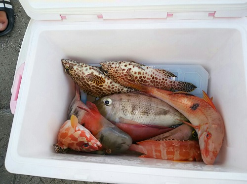 29日・ステーキ四季ランチからの沖釣り!