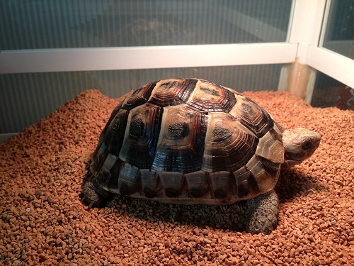 16日・結婚式のDVD制作!