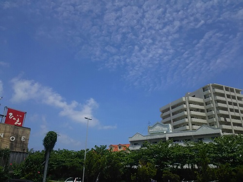 6日・送別会で回転寿司!