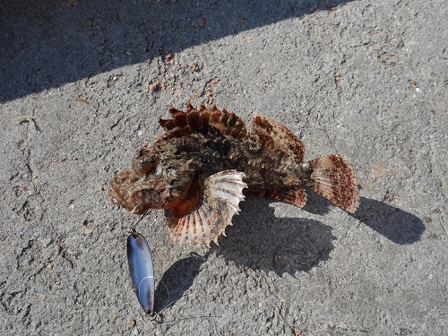 8日・長男の誕生日の歴史!