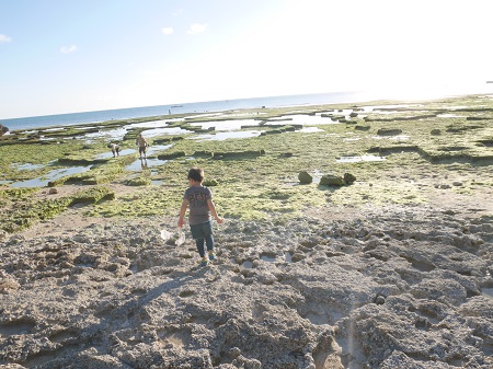 28日・やちむん市と残波岬と