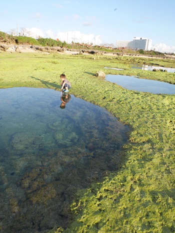 28日・やちむん市と残波岬と