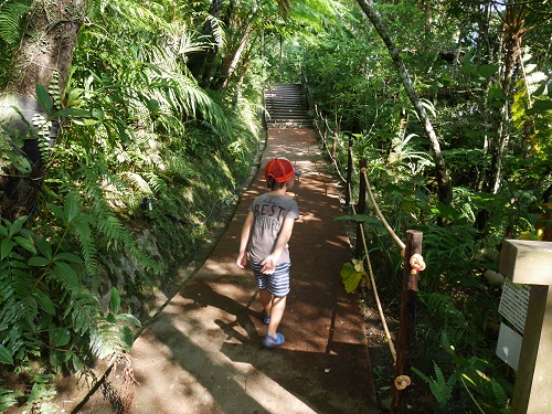 4日・やんばる亜熱帯の森「DINO恐竜PARK」がアツかった!