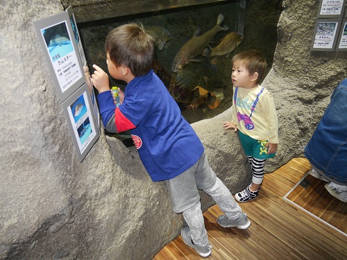 8日・クラゲドリーム館こと加茂水族館に!