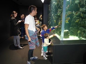 8日・クラゲドリーム館こと加茂水族館に!