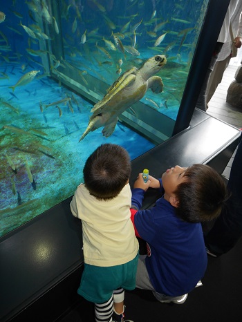 8日・クラゲドリーム館こと加茂水族館に!