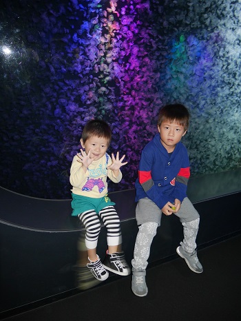 8日・クラゲドリーム館こと加茂水族館に!