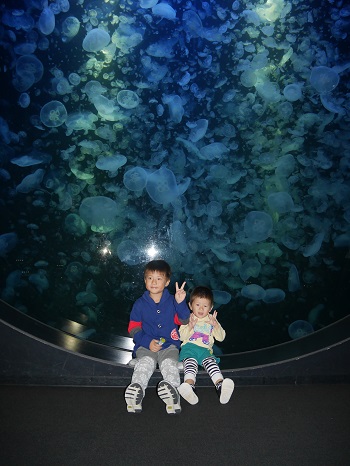 8日・クラゲドリーム館こと加茂水族館に!