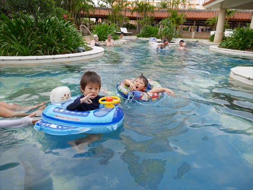 14日・ニャーコがお家を気に入りました!