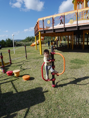 1日・明けましておめでとうございます!