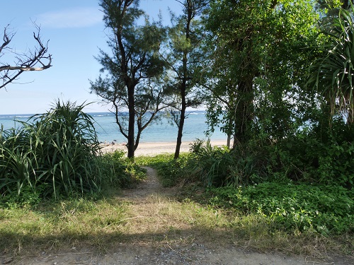 2日・お正月なのに海水浴!
