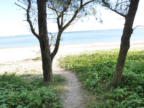 2日・お正月なのに海水浴!