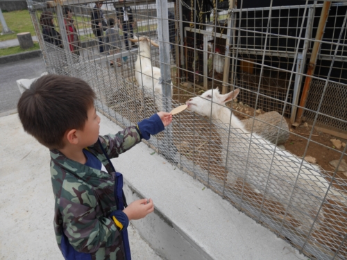25日・やちむん市2017開幕!