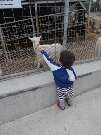 25日・やちむん市2017開幕!