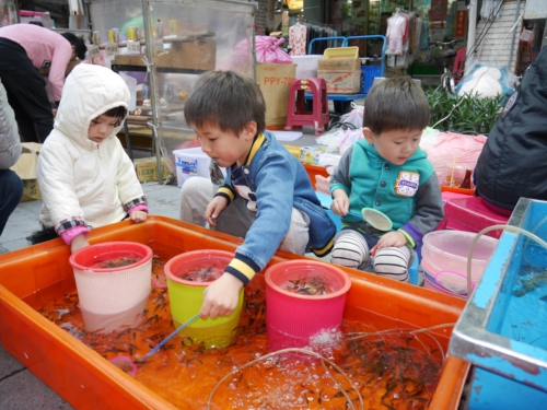 9日・6泊7日住み台湾の総括!