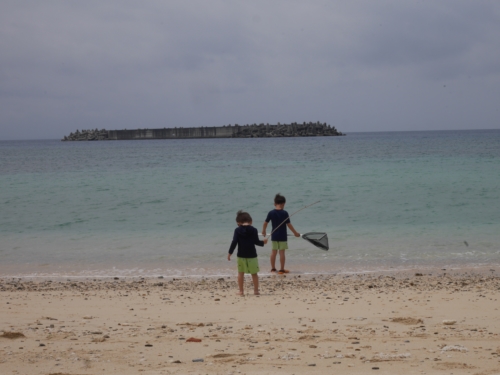 15日・急きょ、美ら海キャラバンへ!