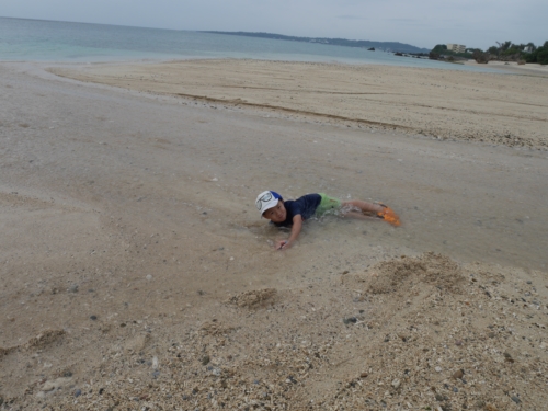 15日・急きょ、美ら海キャラバンへ!