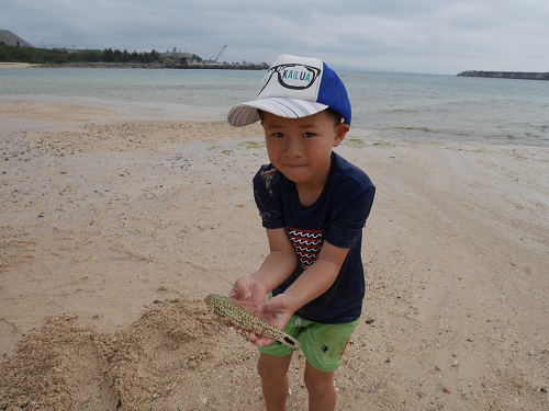子連れ釣りガイドの詳細!