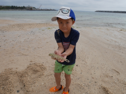 15日・急きょ、美ら海キャラバンへ!