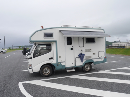 3日・GW1日目!夜探検でアカマタげっとん!