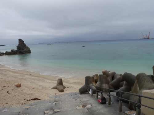 3日・GW1日目!夜探検でアカマタげっとん!