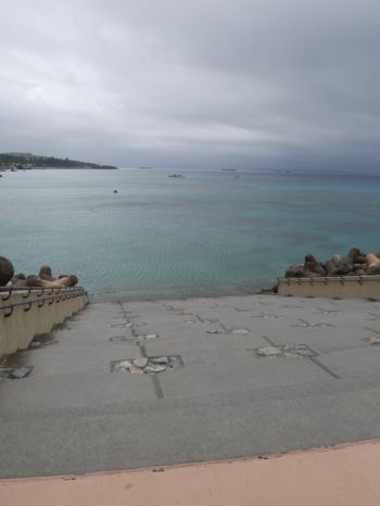 3日・GW1日目!夜探検でアカマタげっとん!