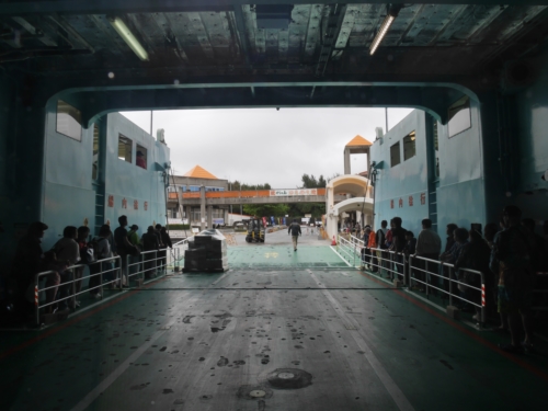 3日・GW1日目!夜探検でアカマタげっとん!