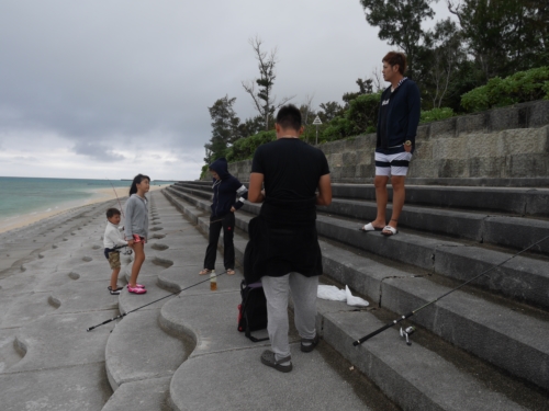 3日・GW1日目!夜探検でアカマタげっとん!