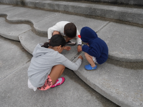 3日・GW1日目!夜探検でアカマタげっとん!