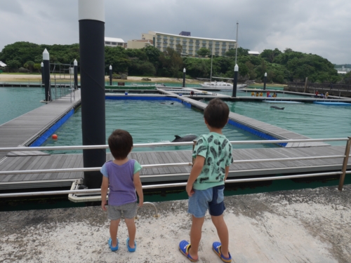 4日・花人逢で大発見!