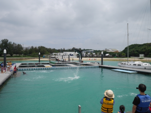 4日・花人逢で大発見!