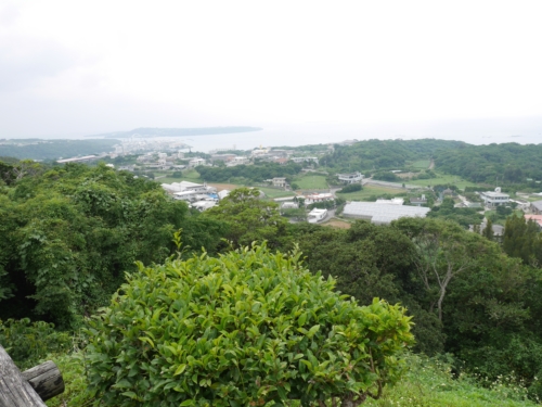 4日・花人逢で大発見!