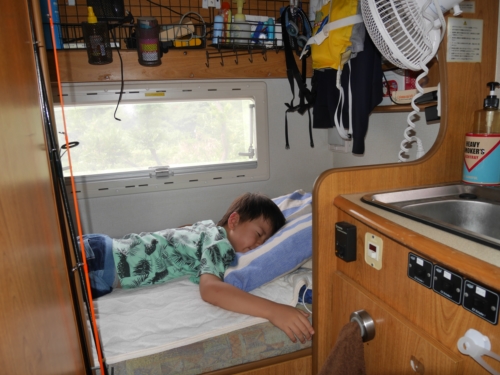 4日・花人逢で大発見!