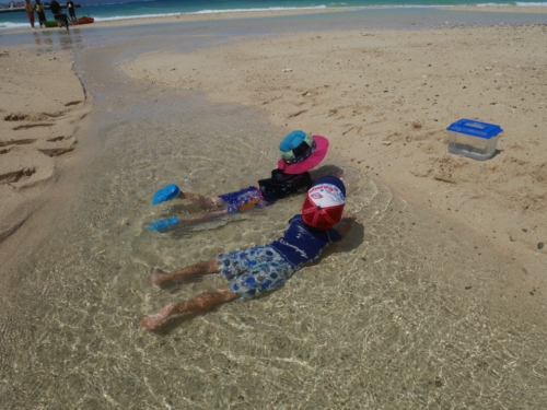 25日・海三連チャンでシュノーケルと釣り!