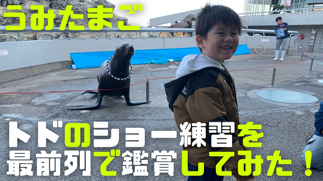 17日・うみたまごのトドのショー練習を最前列で鑑賞してみた!