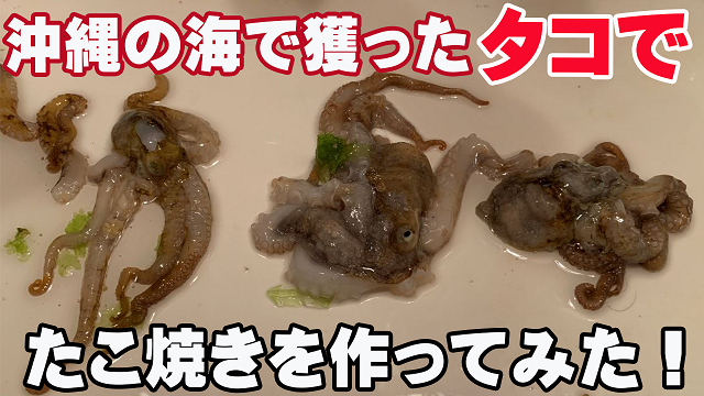 6日・沖縄の海で獲ったタコを捌いてタコ焼きを作って食べてみた!