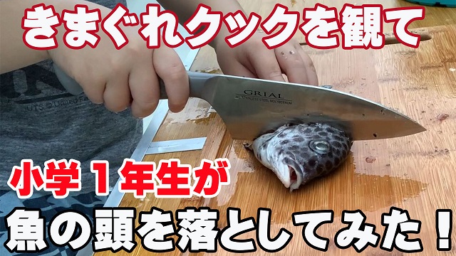 6日・気まぐれクックの真似をして小学1年生が魚の頭を落としてみた!