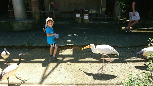 2日・ネオパークとシュノーケル！