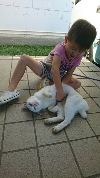 30ERIZIN13ϐƃj[RƎjI