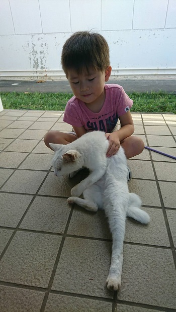 30ERIZIN13ϐƃj[RƎjI