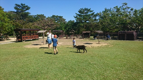21日・ビオスの丘からの東南植物楽園！