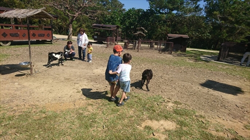21日・ビオスの丘からの東南植物楽園！